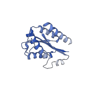11632_7a4g_HG_v1-2
Aquifex aeolicus lumazine synthase-derived nucleocapsid variant NC-1 (180-mer)