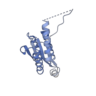 11632_7a4g_HH_v1-2
Aquifex aeolicus lumazine synthase-derived nucleocapsid variant NC-1 (180-mer)