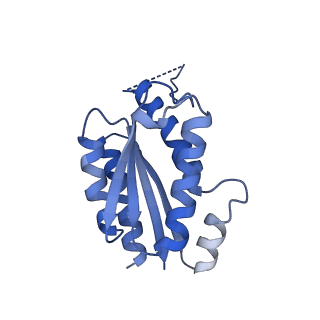 11632_7a4g_HI_v1-2
Aquifex aeolicus lumazine synthase-derived nucleocapsid variant NC-1 (180-mer)