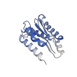 11632_7a4g_HJ_v1-2
Aquifex aeolicus lumazine synthase-derived nucleocapsid variant NC-1 (180-mer)