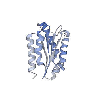 11632_7a4g_HK_v1-2
Aquifex aeolicus lumazine synthase-derived nucleocapsid variant NC-1 (180-mer)