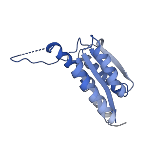 11632_7a4g_HL_v1-2
Aquifex aeolicus lumazine synthase-derived nucleocapsid variant NC-1 (180-mer)