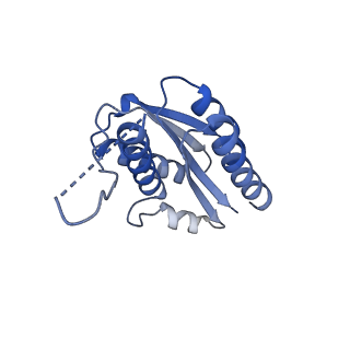 11632_7a4g_HM_v1-2
Aquifex aeolicus lumazine synthase-derived nucleocapsid variant NC-1 (180-mer)