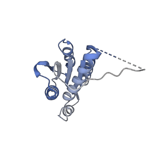 11632_7a4g_HN_v1-2
Aquifex aeolicus lumazine synthase-derived nucleocapsid variant NC-1 (180-mer)