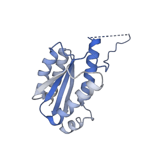11632_7a4g_HO_v1-2
Aquifex aeolicus lumazine synthase-derived nucleocapsid variant NC-1 (180-mer)