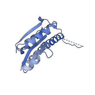 11632_7a4g_IA_v1-2
Aquifex aeolicus lumazine synthase-derived nucleocapsid variant NC-1 (180-mer)