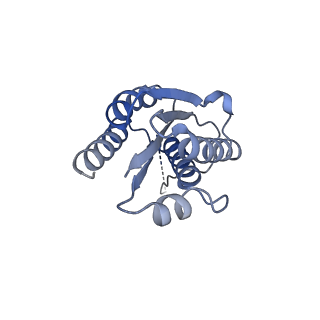 11632_7a4g_IB_v1-2
Aquifex aeolicus lumazine synthase-derived nucleocapsid variant NC-1 (180-mer)