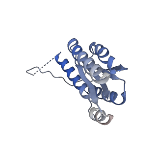 11632_7a4g_IC_v1-2
Aquifex aeolicus lumazine synthase-derived nucleocapsid variant NC-1 (180-mer)