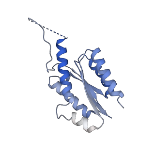 11632_7a4g_ID_v1-2
Aquifex aeolicus lumazine synthase-derived nucleocapsid variant NC-1 (180-mer)