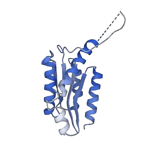 11632_7a4g_IE_v1-2
Aquifex aeolicus lumazine synthase-derived nucleocapsid variant NC-1 (180-mer)