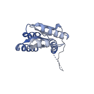 11632_7a4g_IF_v1-2
Aquifex aeolicus lumazine synthase-derived nucleocapsid variant NC-1 (180-mer)