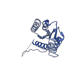 11632_7a4g_IG_v1-2
Aquifex aeolicus lumazine synthase-derived nucleocapsid variant NC-1 (180-mer)