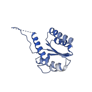 11632_7a4g_IH_v1-2
Aquifex aeolicus lumazine synthase-derived nucleocapsid variant NC-1 (180-mer)