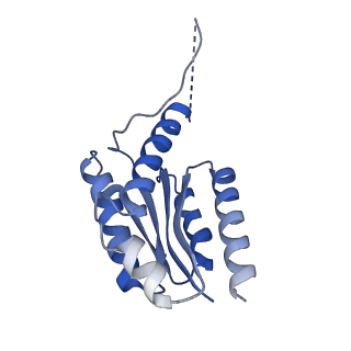 11632_7a4g_II_v1-2
Aquifex aeolicus lumazine synthase-derived nucleocapsid variant NC-1 (180-mer)