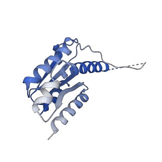 11632_7a4g_IJ_v1-2
Aquifex aeolicus lumazine synthase-derived nucleocapsid variant NC-1 (180-mer)