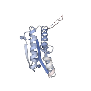11632_7a4g_IK_v1-2
Aquifex aeolicus lumazine synthase-derived nucleocapsid variant NC-1 (180-mer)