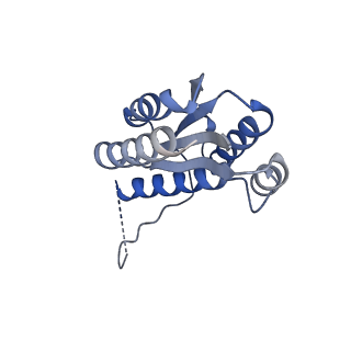 11632_7a4g_IM_v1-2
Aquifex aeolicus lumazine synthase-derived nucleocapsid variant NC-1 (180-mer)