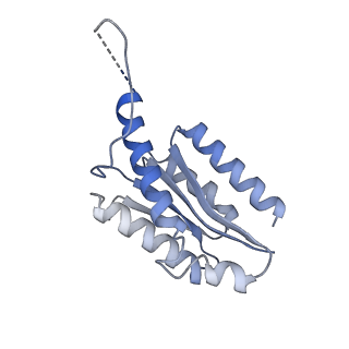 11632_7a4g_IO_v1-2
Aquifex aeolicus lumazine synthase-derived nucleocapsid variant NC-1 (180-mer)