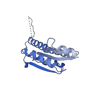 11632_7a4g_JA_v1-2
Aquifex aeolicus lumazine synthase-derived nucleocapsid variant NC-1 (180-mer)