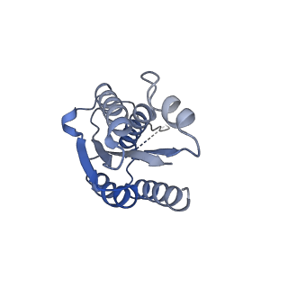 11632_7a4g_JB_v1-2
Aquifex aeolicus lumazine synthase-derived nucleocapsid variant NC-1 (180-mer)