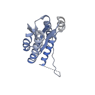 11632_7a4g_JC_v1-2
Aquifex aeolicus lumazine synthase-derived nucleocapsid variant NC-1 (180-mer)