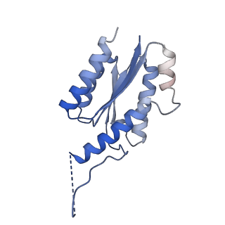 11632_7a4g_JD_v1-2
Aquifex aeolicus lumazine synthase-derived nucleocapsid variant NC-1 (180-mer)