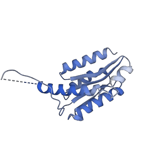 11632_7a4g_JE_v1-2
Aquifex aeolicus lumazine synthase-derived nucleocapsid variant NC-1 (180-mer)