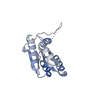11632_7a4g_JF_v1-2
Aquifex aeolicus lumazine synthase-derived nucleocapsid variant NC-1 (180-mer)