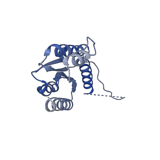11632_7a4g_JG_v1-2
Aquifex aeolicus lumazine synthase-derived nucleocapsid variant NC-1 (180-mer)