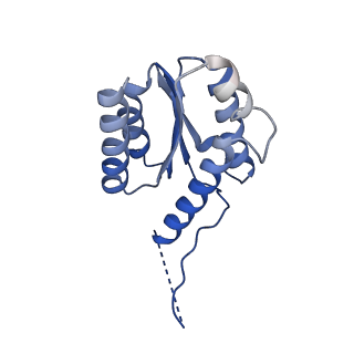 11632_7a4g_JH_v1-2
Aquifex aeolicus lumazine synthase-derived nucleocapsid variant NC-1 (180-mer)