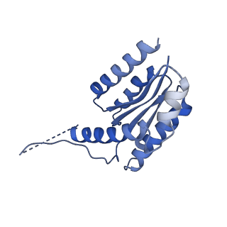 11632_7a4g_JI_v1-2
Aquifex aeolicus lumazine synthase-derived nucleocapsid variant NC-1 (180-mer)