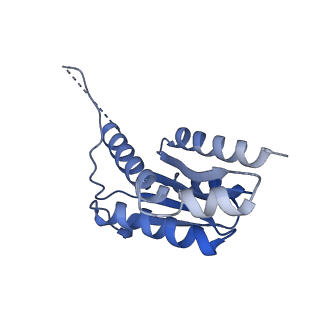 11632_7a4g_JJ_v1-2
Aquifex aeolicus lumazine synthase-derived nucleocapsid variant NC-1 (180-mer)