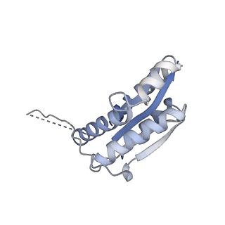 11632_7a4g_JK_v1-2
Aquifex aeolicus lumazine synthase-derived nucleocapsid variant NC-1 (180-mer)