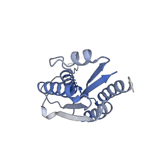 11632_7a4g_JL_v1-2
Aquifex aeolicus lumazine synthase-derived nucleocapsid variant NC-1 (180-mer)