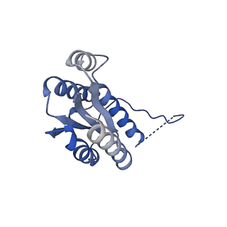 11632_7a4g_JM_v1-2
Aquifex aeolicus lumazine synthase-derived nucleocapsid variant NC-1 (180-mer)
