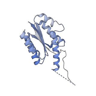 11632_7a4g_JN_v1-2
Aquifex aeolicus lumazine synthase-derived nucleocapsid variant NC-1 (180-mer)