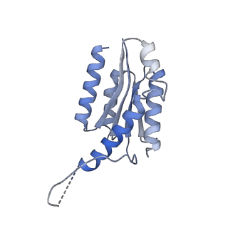 11632_7a4g_JO_v1-2
Aquifex aeolicus lumazine synthase-derived nucleocapsid variant NC-1 (180-mer)