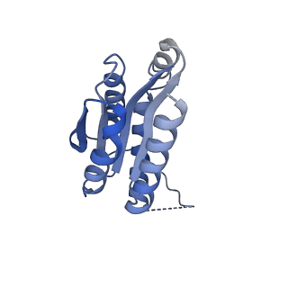 11632_7a4g_KA_v1-2
Aquifex aeolicus lumazine synthase-derived nucleocapsid variant NC-1 (180-mer)