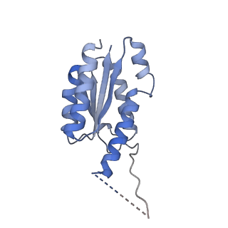 11632_7a4g_KB_v1-2
Aquifex aeolicus lumazine synthase-derived nucleocapsid variant NC-1 (180-mer)
