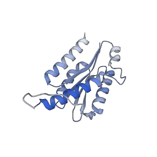 11632_7a4g_KC_v1-2
Aquifex aeolicus lumazine synthase-derived nucleocapsid variant NC-1 (180-mer)