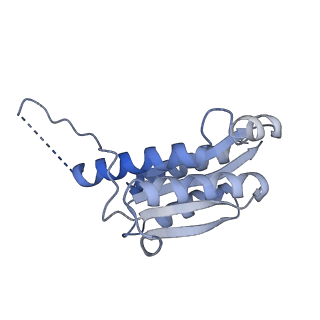 11632_7a4g_KD_v1-2
Aquifex aeolicus lumazine synthase-derived nucleocapsid variant NC-1 (180-mer)