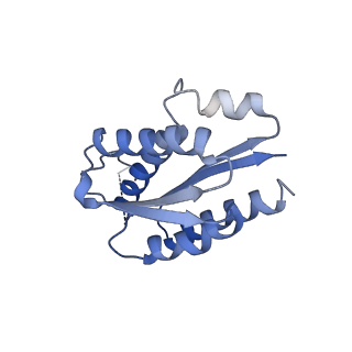 11632_7a4g_KE_v1-2
Aquifex aeolicus lumazine synthase-derived nucleocapsid variant NC-1 (180-mer)