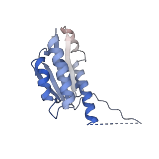 11632_7a4g_KF_v1-2
Aquifex aeolicus lumazine synthase-derived nucleocapsid variant NC-1 (180-mer)