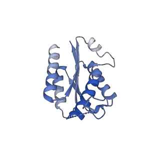 11632_7a4g_KG_v1-2
Aquifex aeolicus lumazine synthase-derived nucleocapsid variant NC-1 (180-mer)