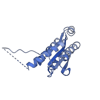 11632_7a4g_KH_v1-2
Aquifex aeolicus lumazine synthase-derived nucleocapsid variant NC-1 (180-mer)