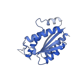 11632_7a4g_KI_v1-2
Aquifex aeolicus lumazine synthase-derived nucleocapsid variant NC-1 (180-mer)