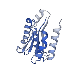 11632_7a4g_KJ_v1-2
Aquifex aeolicus lumazine synthase-derived nucleocapsid variant NC-1 (180-mer)