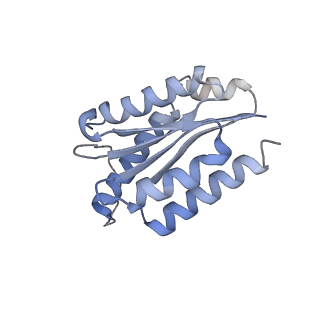 11632_7a4g_KK_v1-2
Aquifex aeolicus lumazine synthase-derived nucleocapsid variant NC-1 (180-mer)