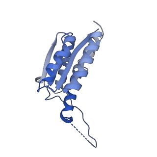 11632_7a4g_KL_v1-2
Aquifex aeolicus lumazine synthase-derived nucleocapsid variant NC-1 (180-mer)