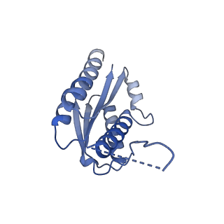 11632_7a4g_KM_v1-2
Aquifex aeolicus lumazine synthase-derived nucleocapsid variant NC-1 (180-mer)